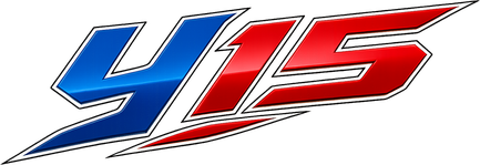 Logo y15